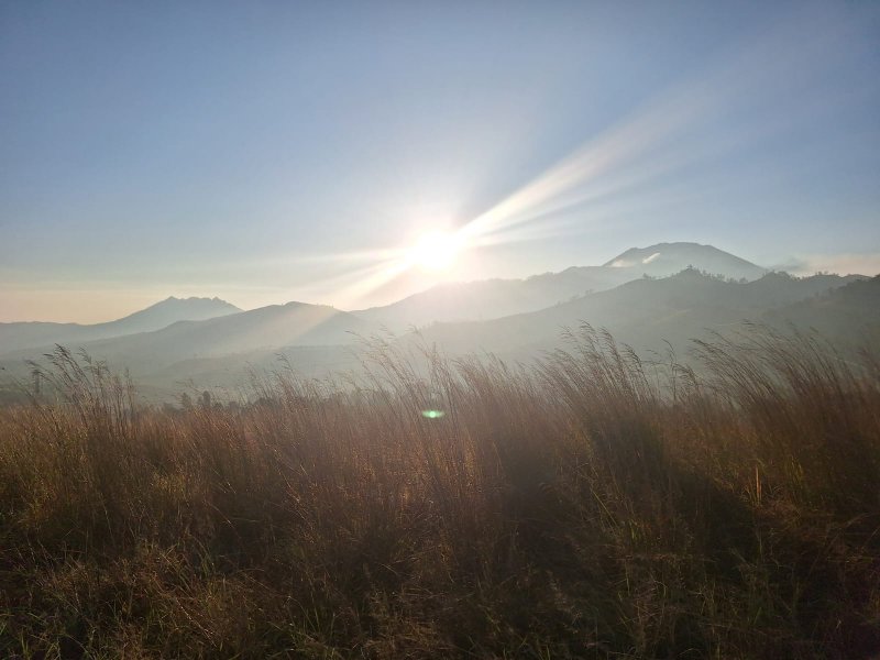 Sukamade beach, Ijen crater, Bromo, and Kalibaru plantation tour from Bali- for round way trip package 5 days Sukamade beach, Ijen crater, Bromo, and Kalibaru plantation tour from Bali 5D Sukamade beach, Ijen crater, Bromo, and Kalibaru plantation tour from Bali - for round way travel package 5 days 4 nights holiday trip in East Java - Indonesia Ijen to Bromo Tour