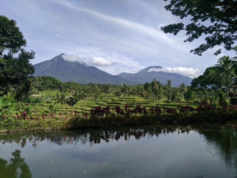 Banyuwangi to Ijen Bromo - Savannah & Sunset Tours 4D Tours from Banyuwangi for Blue Fire Ijen Tours, Bromo Sunrise Tours, Bromo Savannah Tours, Bromo Sun Java Island Tours from Banyuwangi for Blue Fire Ijen Tours, Bromo Sunrise Tours, Bromo Savannah Tours, Bromo Sunset Tours & continue to Surabaya or Malang Ijen to Bromo Tour
