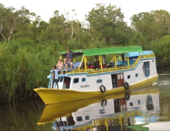 Borneo orangutan tour by standard houseboat jungle river cruise 4D Borneo orangutan tour by standard houseboat jungle river cruise in Tanjung Puting National Park 4D Fly from Bali, Jakarta, Semarang or Surabaya to Pangkalan Bun for Borneo orangutan tour by standard houseboat jungle river cruise in Tanjung Puting 4D3N Ijen to Bromo Tour