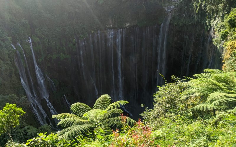 Bromo Tour Agency Bromo Tour Agency - Ijen to Bromo Tour Ijen to Bromo Tour