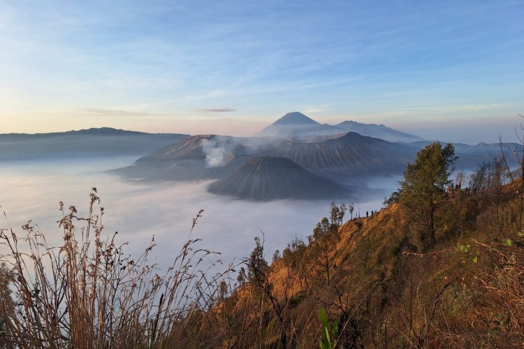 Transport services with a cheap price for Ijen to Bromo tour from Malang/ Surabaya,- end in Banyuwangi 3D Transport services with a cheap price for Bromo to Ijen tour from Malang OR Surabaya,- ending Banyuwangi 3D Transport services with a cheap price for Bromo to Ijen crater tour from Malang/ Surabaya,- end in Banyuwangi for 3days - 2 nights vacation trip package Ijen to Bromo Tour