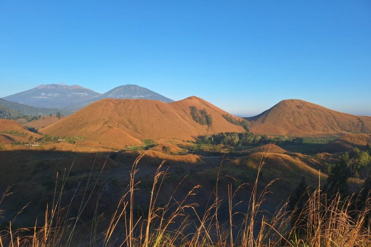 Explore amazing Indonesia to Borneo orangutan tour - Java Bali holiday with possibility to Komodo Island 16D Explore amazing Indonesia to Borneo orangutan tour and Java Bali holiday 16D15N Explore amazing Indonesia, to Borneo orangutan tour - Java Bali holiday with possibility to Komodo Island for memorable vacation within 16 days 15 nights trip Ijen to Bromo Tour