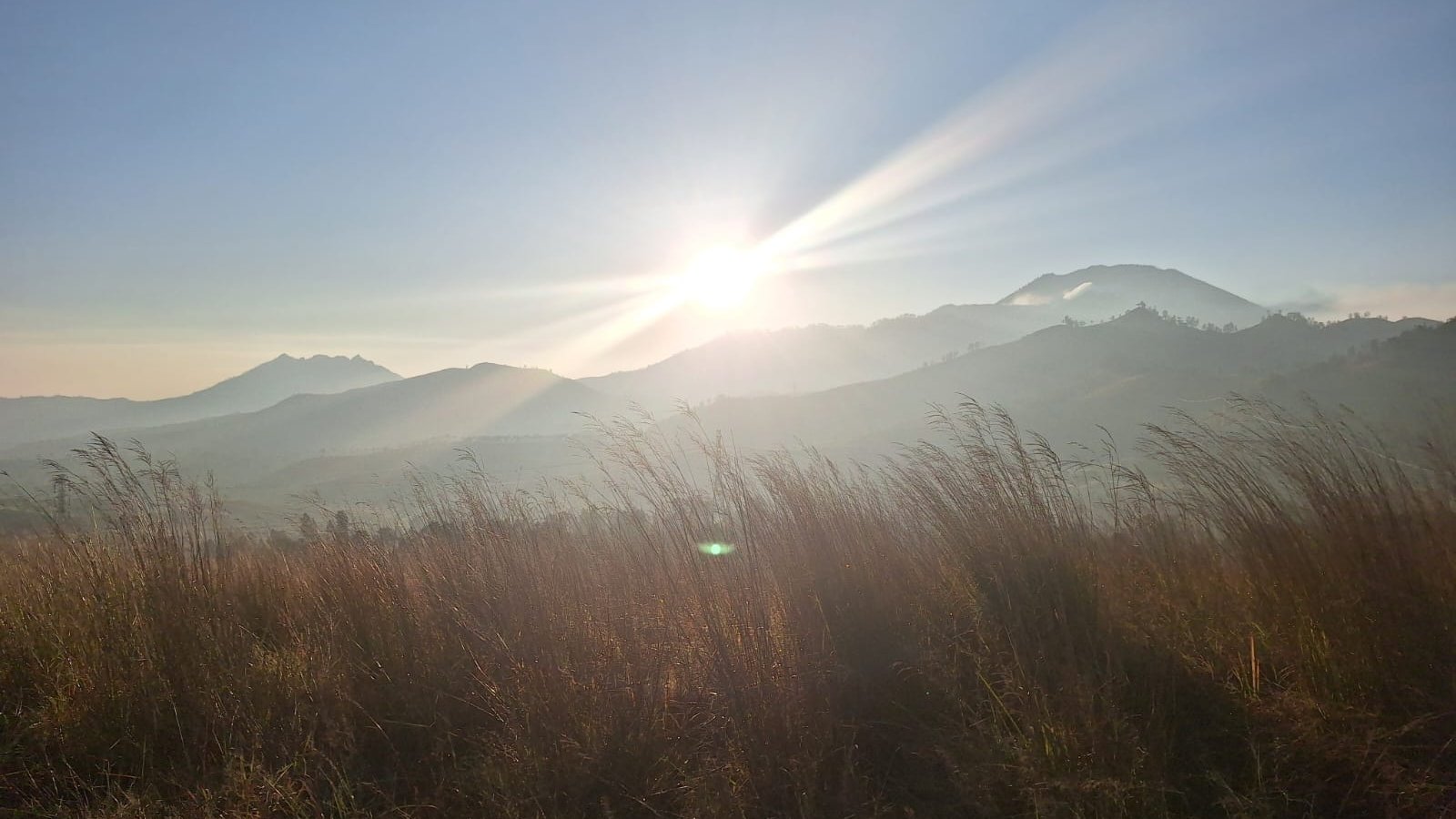 Mount Bromo and Ijen Blue Fire Tour – 2025 Travel Tips Ijen to Bromo Tour