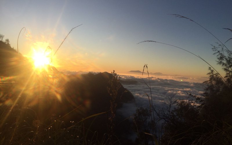 Mount Bromo Tour from Netherlands Mount Bromo Tour from Netherlands - Ijen To Bromo Tour Ijen to Bromo Tour