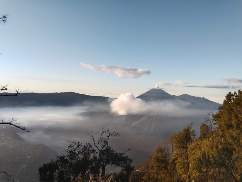 Night Surabaya to Bromo Savannah Ijen Paragliding 5D  Surabaya for Bromo Tour, Bromo Savannah Tour, Ijen Blue Fire Tour & Paragliding Tour then back to S Night trip from Malang or Surabaya for Bromo Tour, Bromo Savannah Tour, Ijen Blue Fire Tour & Paragliding Tour and then drive back to Surabaya or Malang Ijen to Bromo Tour