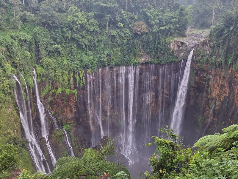 A shared trip, from Surabaya to Bromo, Tumpak Sewu, and Ijen tour - Banyuwangi 4D Group departure from Surabaya to Bromo, Tumpak Sewu and Ijen tour - Banyuwangi 4D Shared trip for group departure from Surabaya to Bromo, Tumpak Sewu and Ijen tour - end in Banyuwangi within 4 days 3 nights holiday travel package in East Java Ijen to Bromo Tour