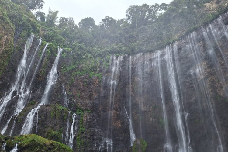Shared trip from Yogyakarta to Tumpak Sewu, Bromo Ijen tour - and end in Bali 3D A shared travel package departures from Yogyakarta to Bromo Ijen tour via Tumpak Sewu waterfall tour - Bali 3D Shared travel package departures from Yogya for Bromo to Ijen tour via Tumpak Sewu waterfall- Bali within 3D trip I All Includes in Tour Price - #1 pax can join Ijen to Bromo Tour