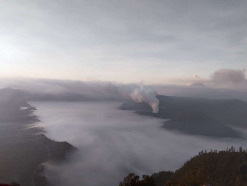 Surabaya to Batu tourism Bromo Sunrise & Savannah 3D East Java trip from Surabaya for visiting Batu tourism objects, Bromo sunrise & savannah 3 days East Java trip from Surabaya for visiting Batu Night Spectacular, Museum Angkut, Agro Tourism, Cobanrondo Waterfall, Omah Kayu, Bromo sunrise & savannah Ijen to Bromo Tour