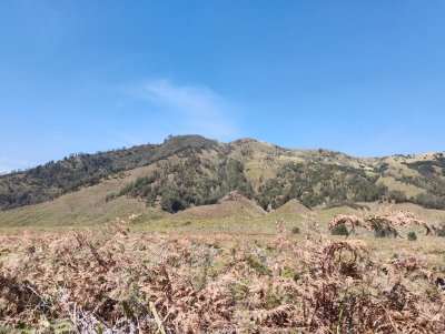 3 days trip from Malang or Surabaya for Bromo sunrise tours, Bromo savannah tours and Bentar beach s Ijen to Bromo Tour